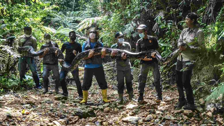 Wahyudi / AFP