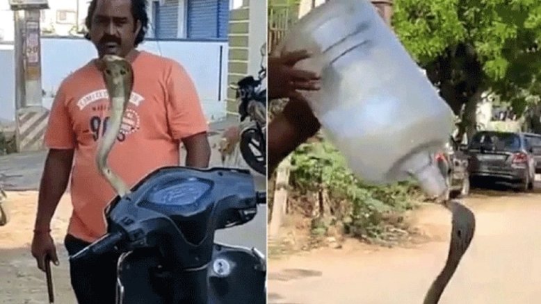 Reprodução/Twitter 