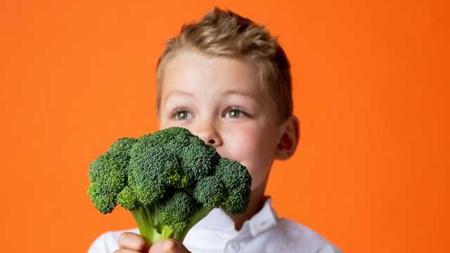 5 dicas para quebrar a resistência da criança para experimentar novos alimentos