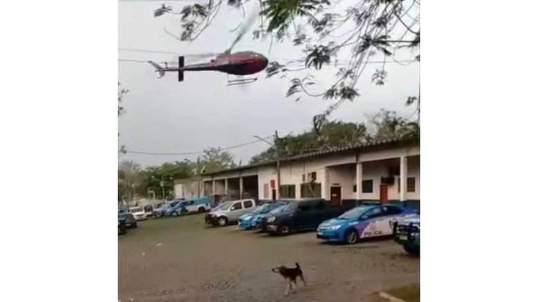 Reprodução