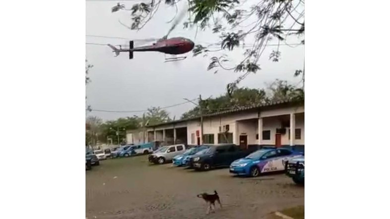 Reprodução