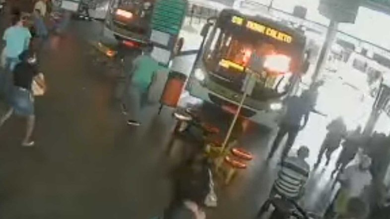 Reprodução