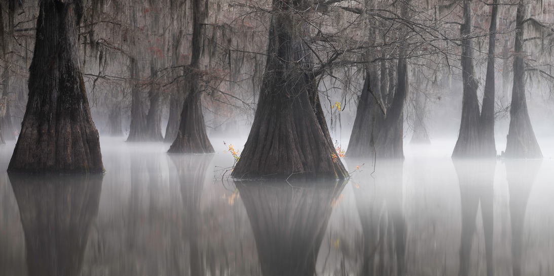 As paisagens mais fascinantes de 2021 7 As paisagens mais fascinantes de 2021