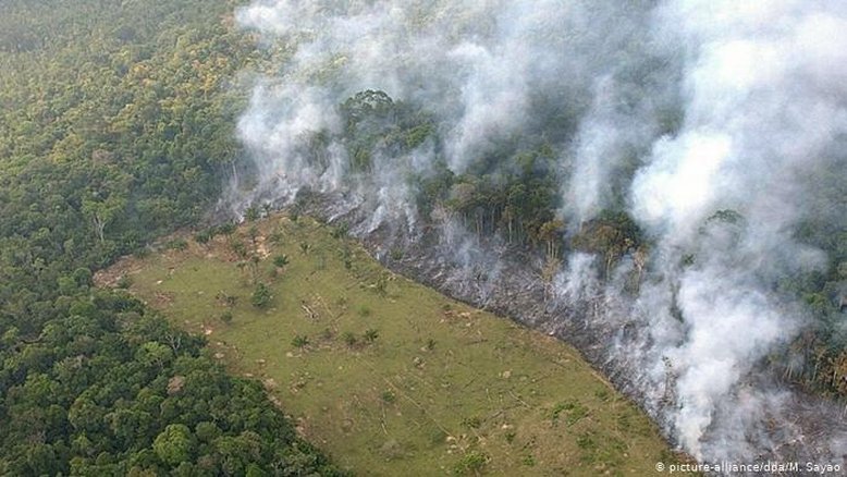 EUA anunciam pacto contra desmatamento da Amazônia