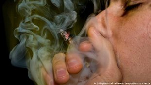 Em quais países o consumo de maconha é legalizado?