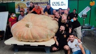 Fazendeiro consegue abóbora de 1,2 tonelada e bate recorde mundial na Itália