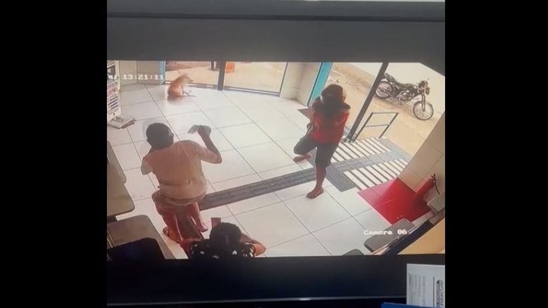 Reprodução