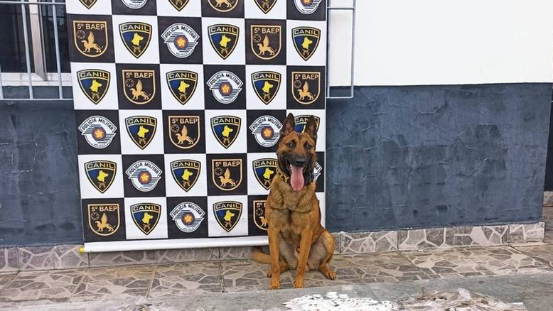 Divulgação/Polícia Militar