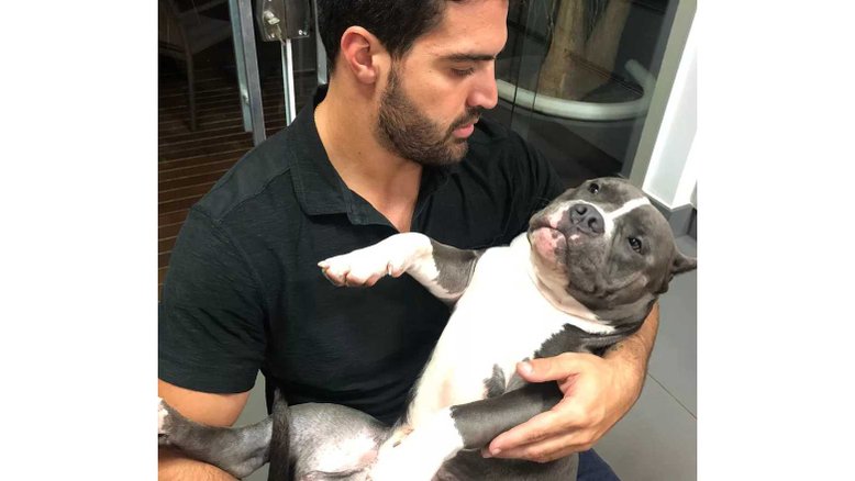 Latam terá que pagar R$ 30 mil por morte de cachorro em voo