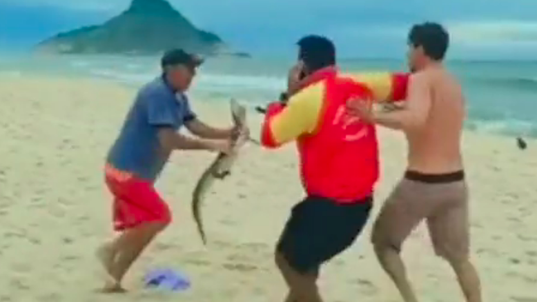 Vídeo: Homem usa jacaré como 'arma' e ameaça pessoas durante briga em praia do RJ