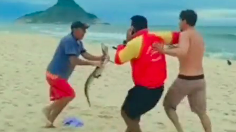 Vídeo: Homem usa jacaré como 'arma' e ameaça pessoas durante briga em praia do RJ
