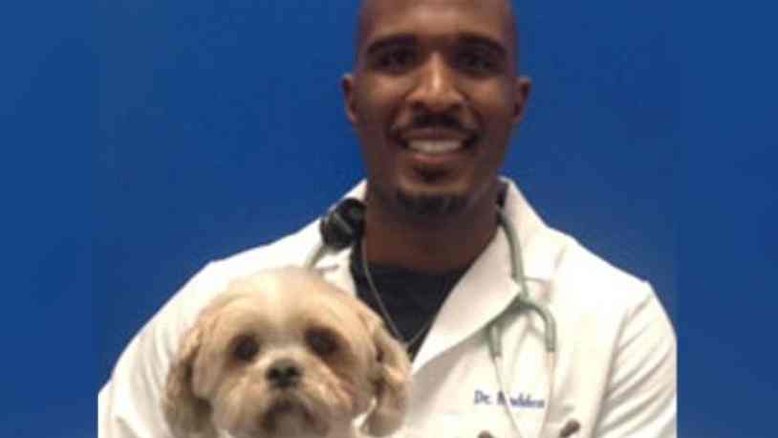 Reprodução/Hospital Veterinário Caring Hands
