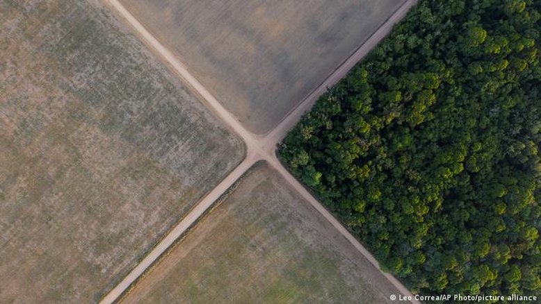 Desconfiança sobre política ambiental do Brasil persiste após COP26
