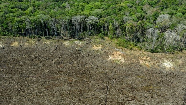 Desmatamento aumenta 22% na Amazônia, um recorde em 15 anos