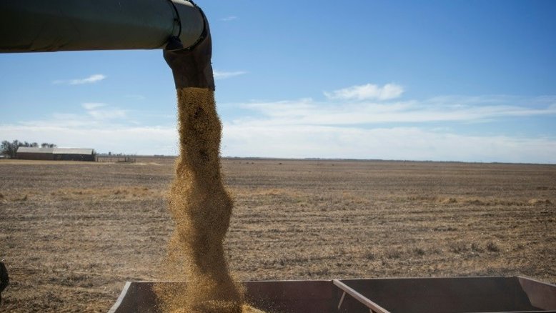 Produtores de soja tacham de 'protecionista' plano contra desmatamento da UE