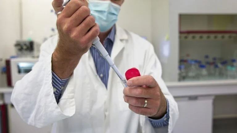 Infertilidade masculina: cientistas desenvolveram par de testículos em laboratório