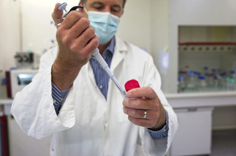 Infertilidade masculina: cientistas desenvolveram par de testículos em laboratório