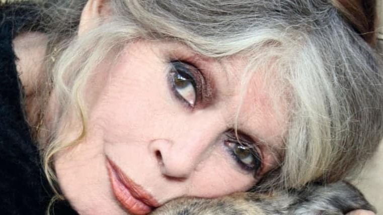 Brigitte Bardot é multada em R$ 130 mil por insultos racistas