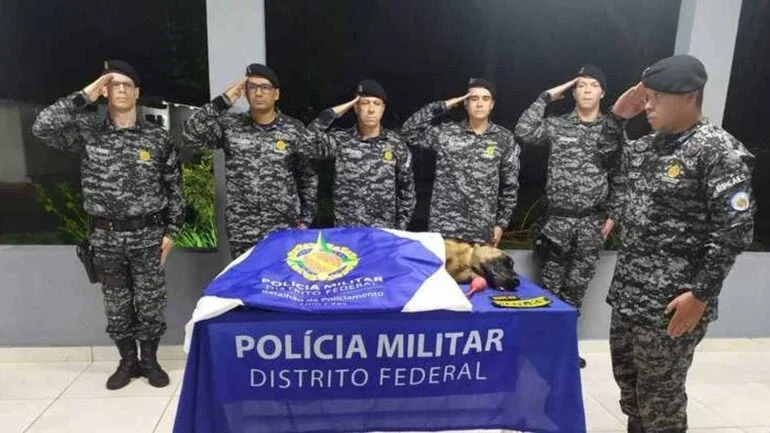 Divulgação/ PMDF