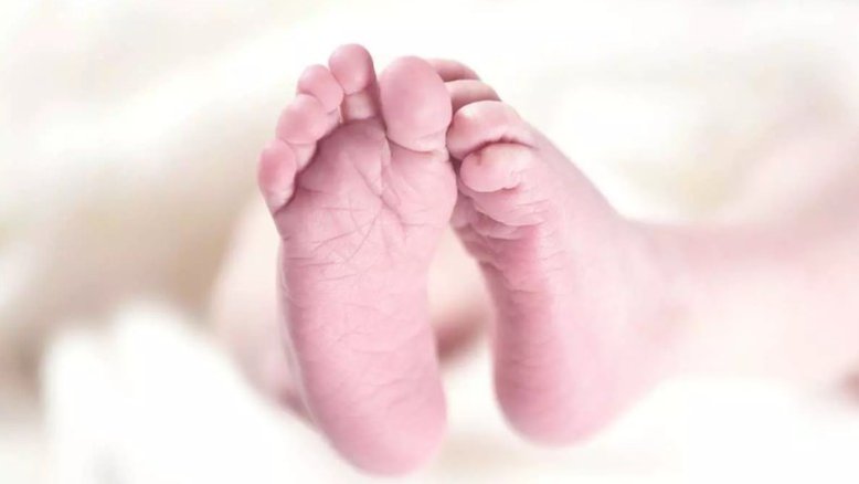 Bebê