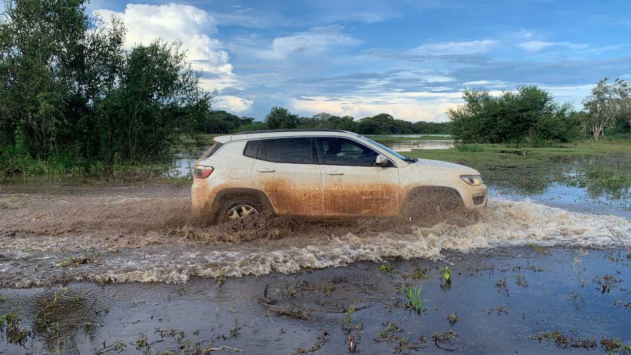 Dia do Pantanal: A saga para encontrar Ousado