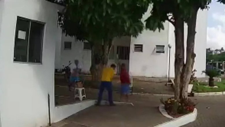 Reprodução