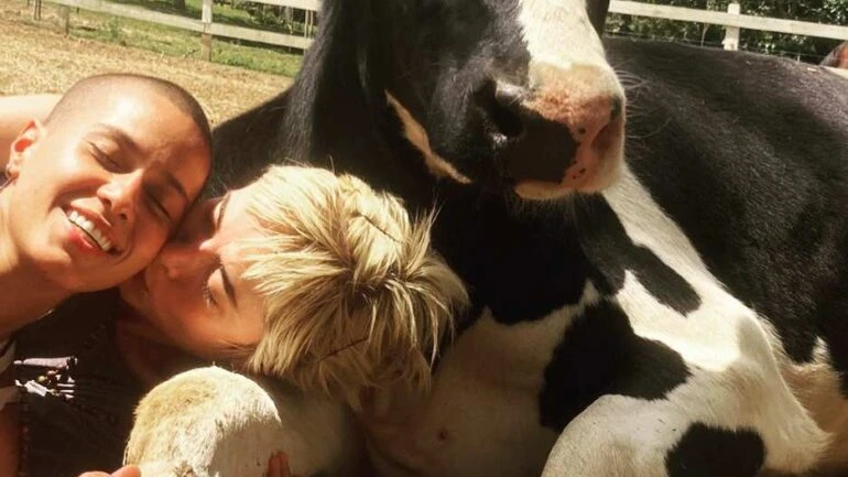 Maria Casadevall posa com namorada abraçada a vaca: Veganismo é ato político