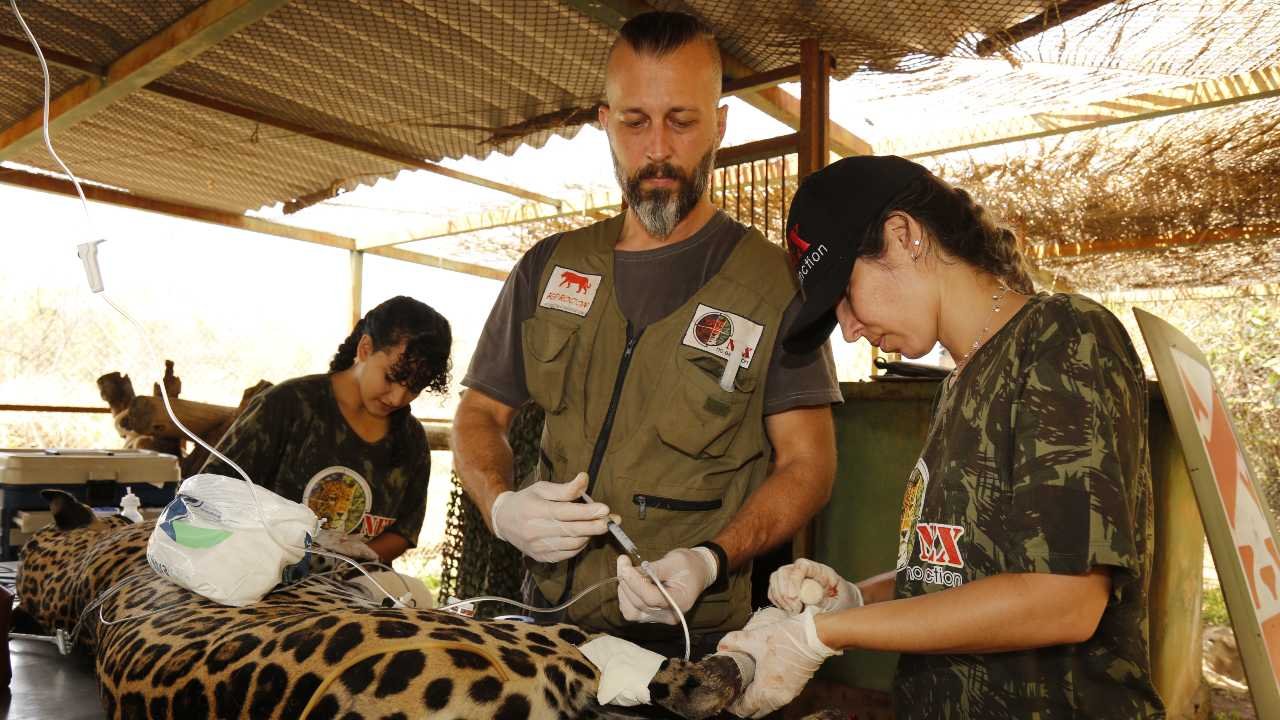 Dia do Pantanal: A saga para encontrar Ousado 13 Dia do Pantanal: A saga para encontrar Ousado