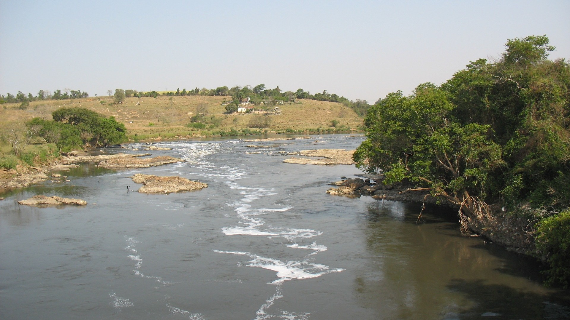 SP: Homem morre afogado em trecho do rio Tietê