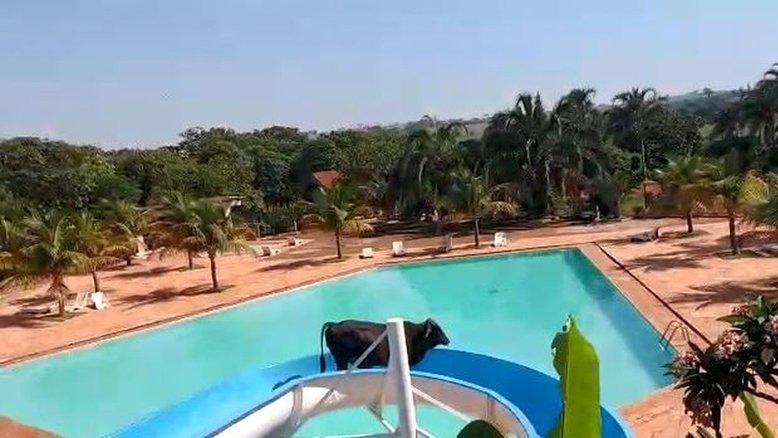 Arquivo Pessoal
