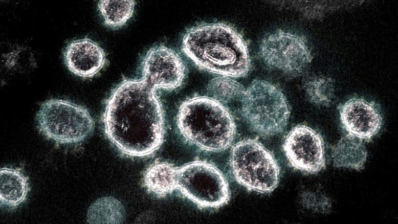 EUA afrouxam medidas de prevenção contra Covid-19 e retiram exigência de quarentena