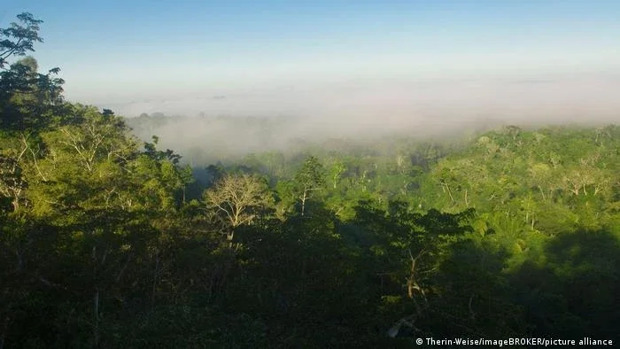 Guardiões da floresta: a luta de um povo indígena pela Amazônia
