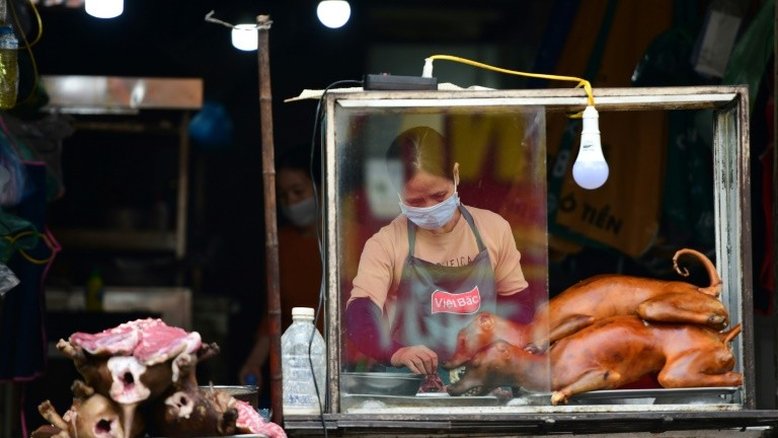 Cidade vietnamita quer proibir venda de carne de cachorro e gato