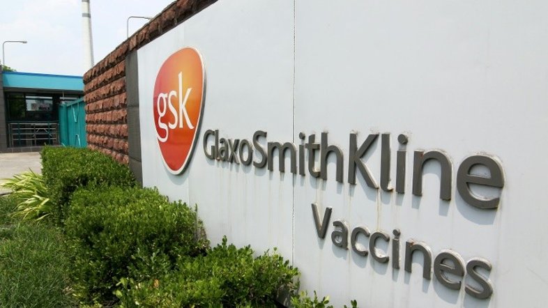 Resultados positivos para potencial vacina anticovid da GSK-Medicago
