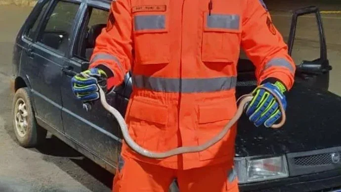 Divulgação/Corpo de Bombeiros