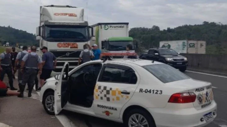 Divulgação
