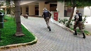 Divulgação/PMDF