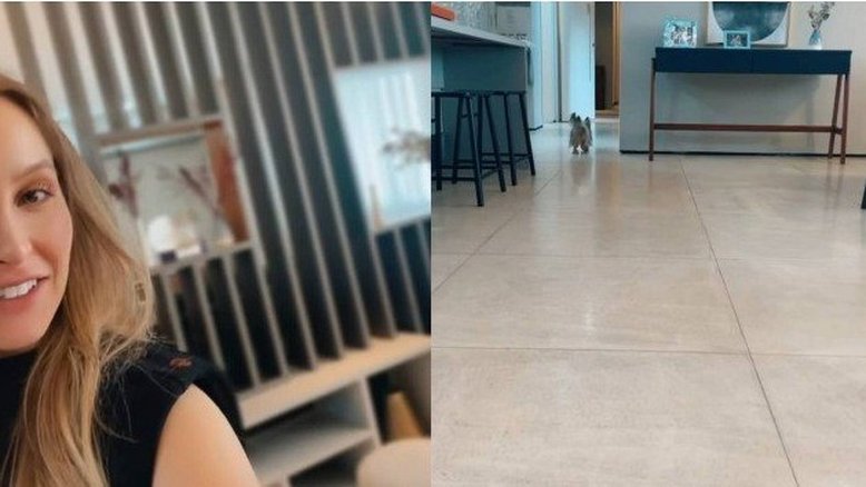 Carla Diaz faz festa em novo apartamento e detalhes indicam affair com vereador