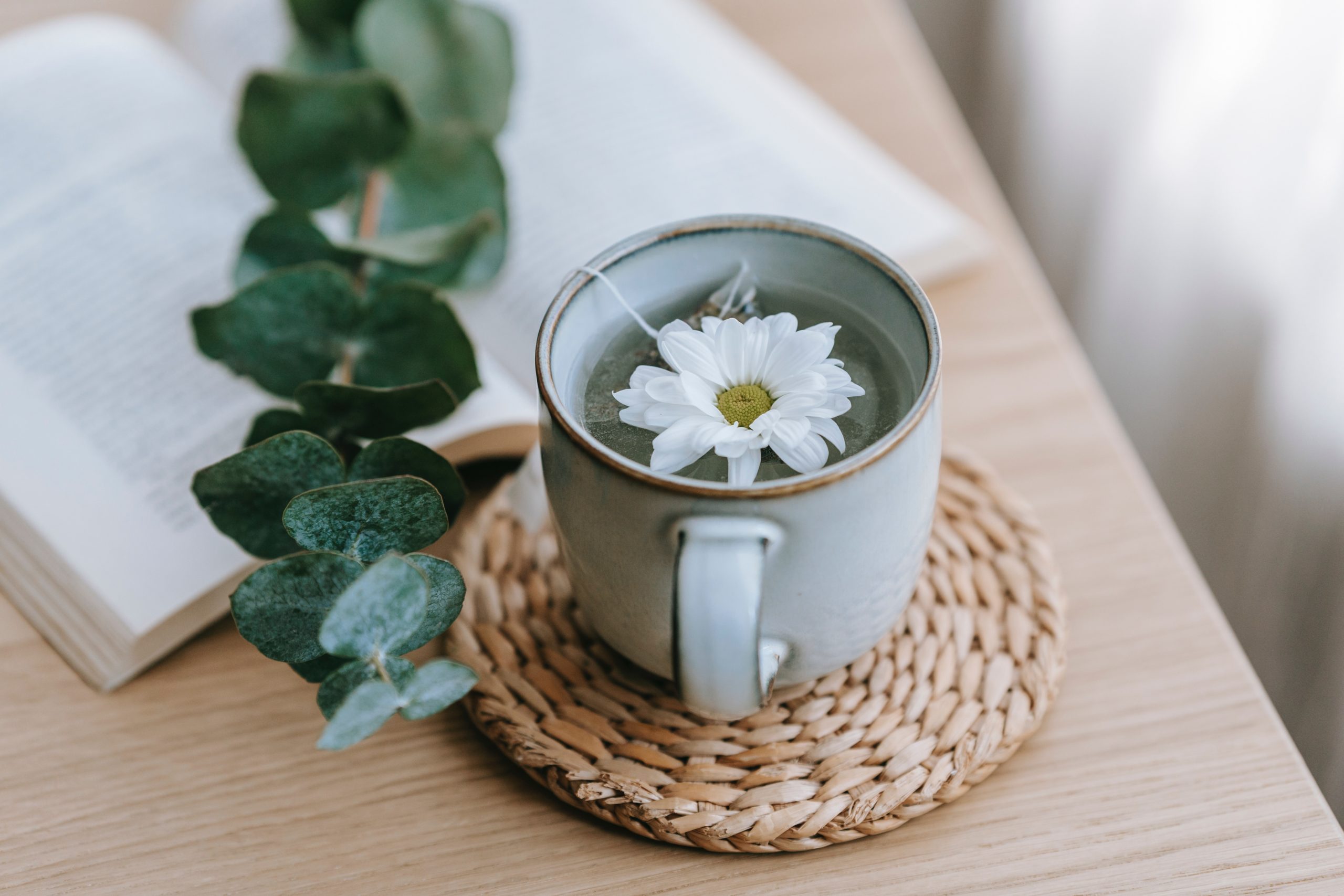 xícara de chá com flor dentro/o que comer para dormir melhor