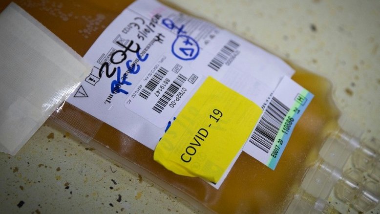 OMS desaconselha tratamento com plasma para pacientes com covid-19