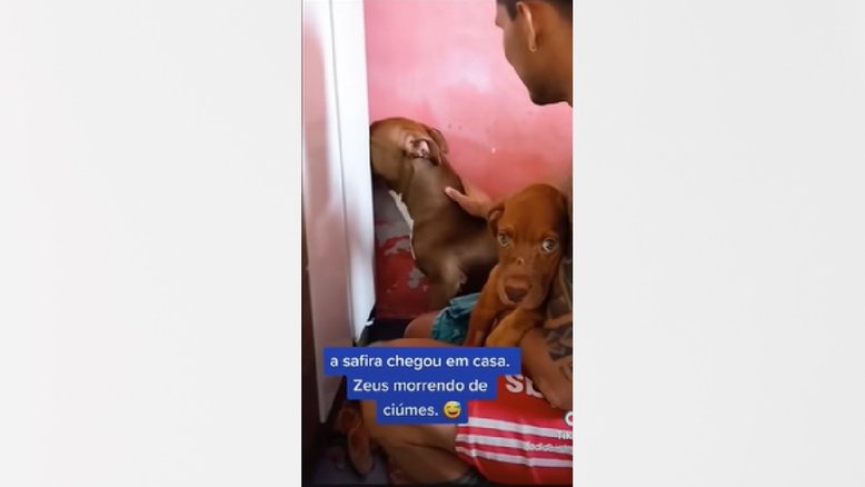 Reprodução/Redes sociais