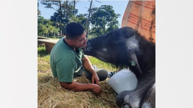 Reprodução/Instagram