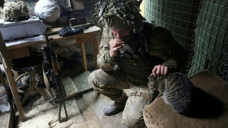 Cães e gatos levantam a moral dos soldados no front da Ucrânia