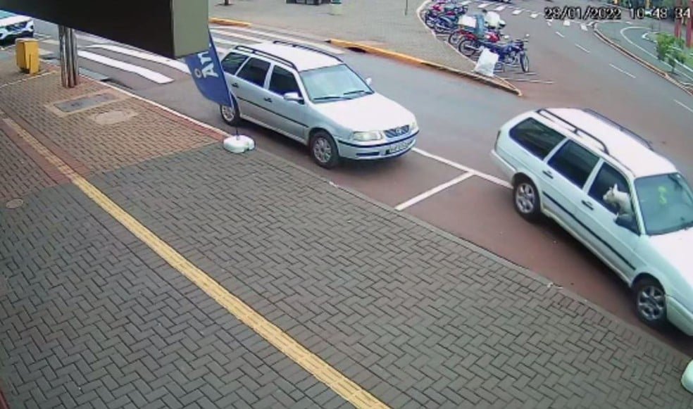 PR: Cachorro é flagrado em carro andando de ré e sem motorista; veja o vídeo 4 PR: Cachorro é flagrado em carro andando de ré e sem motorista; veja o vídeo