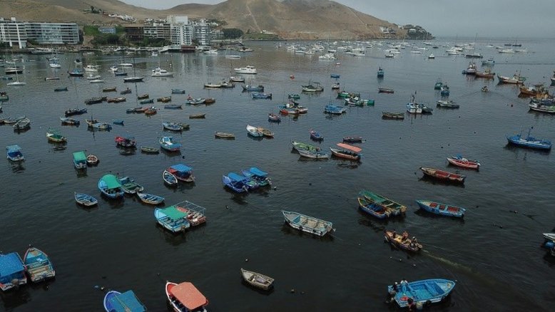 Balanço do derramamento de óleo no Peru: pássaros mortos e pescadores sem trabalho