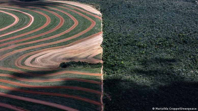 Sem verba, Cerrado ficará sem dados sobre desmatamento