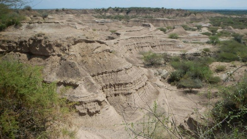 Fósseis etíopes do Homo sapiens são 35.000 anos mais antigos do que se pensava