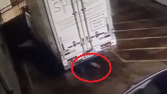 Vídeo: Ladrão descuidado tenta se esconder mas deixa pés à mostra na fuga