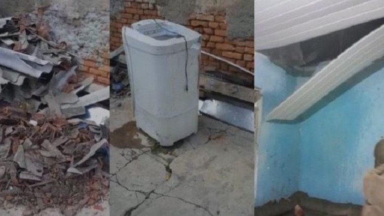 Reprodução