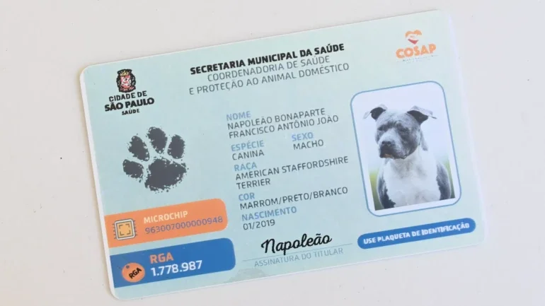 Reprodução/Prefeitura de São Paulo